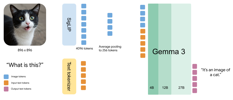 Gemma 3 Architecture